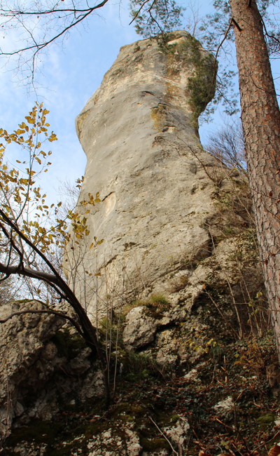 Druidenfelsen Bourrignon