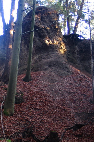 Felsschratt im Druidenwald