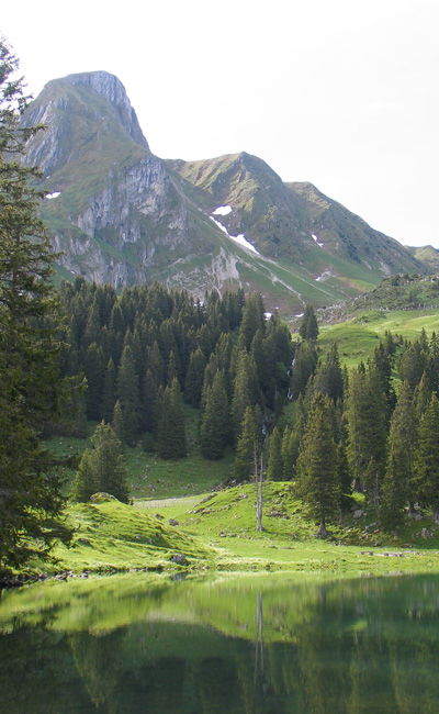 Am
              Hof von Bergknig Gantrisch