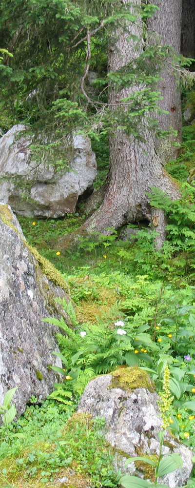 Gasterntal