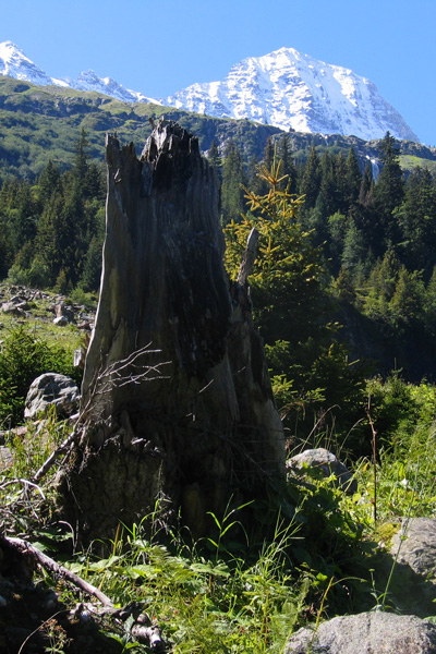 Gletschergarten