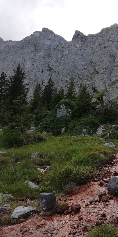 Grimmialp