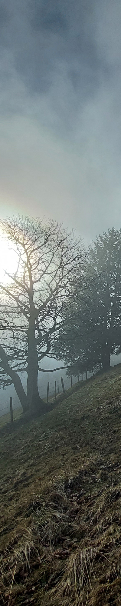 Guggershorn im Nebel