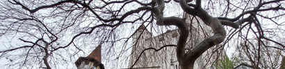 Dunum