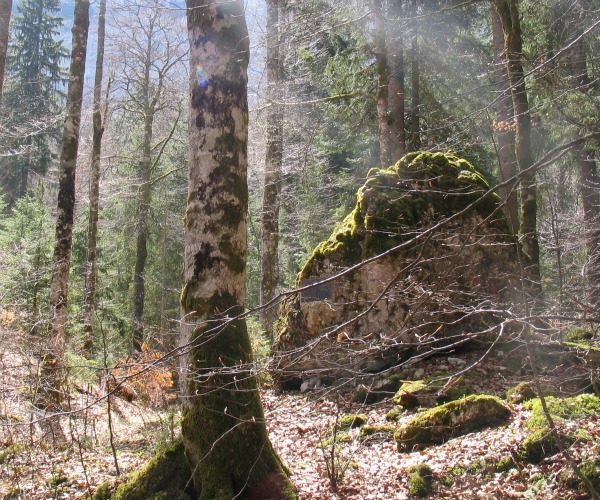 Naturtempel