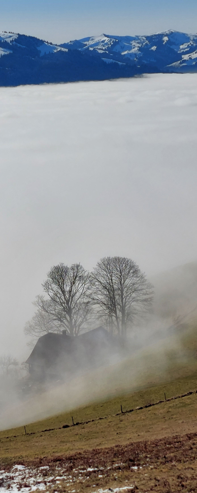 Nebel am Simeliberg
