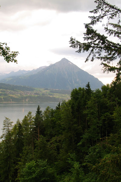 Niesen am Wendelsee