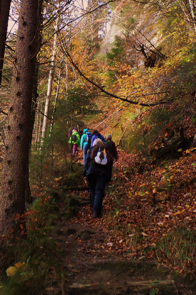 Alter Hohlweg Schwarzwasser