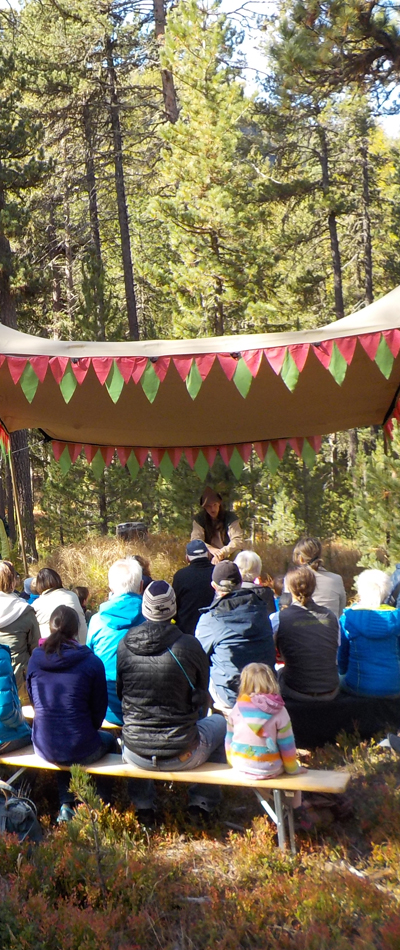 Im Tais-Wald in Pontresina