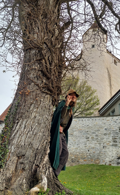 Schloss Thun