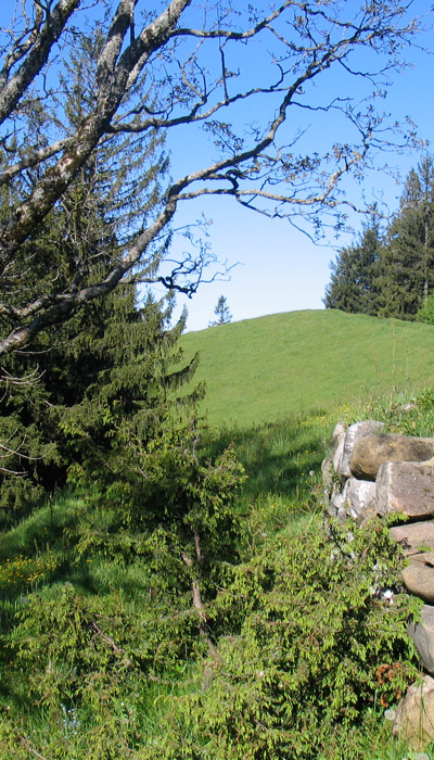 Tanzplatz auf dem Schwendelberg