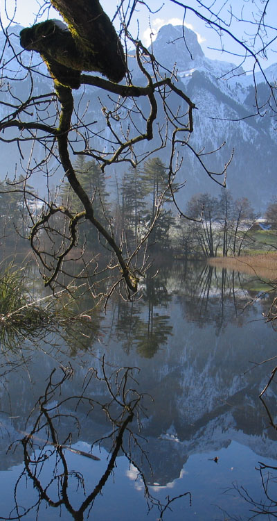 Amsoldinger See
