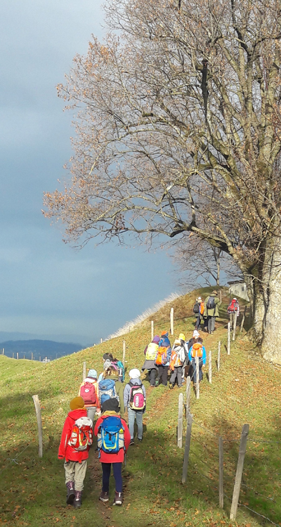 Auf dem Strättlighügel