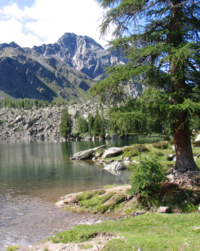 Lagh da Val Viola