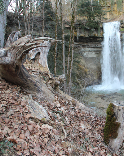 Cascade de Dard