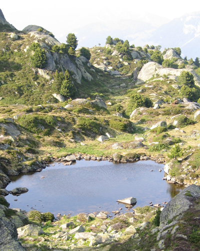 Bergsee in Caschlera GR