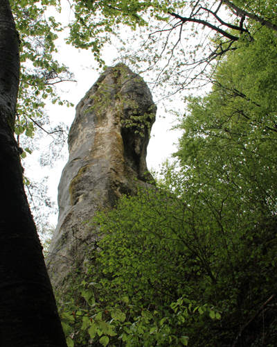 Druidenfelsen im Jurawald